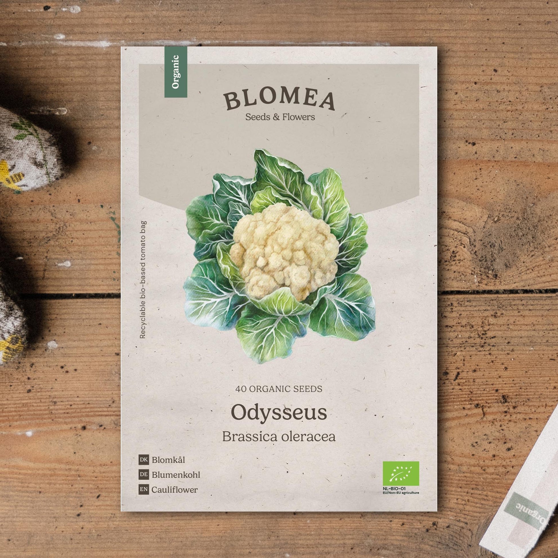 Blumenkohl Samen 'Odysseus' - 40 Biosamen