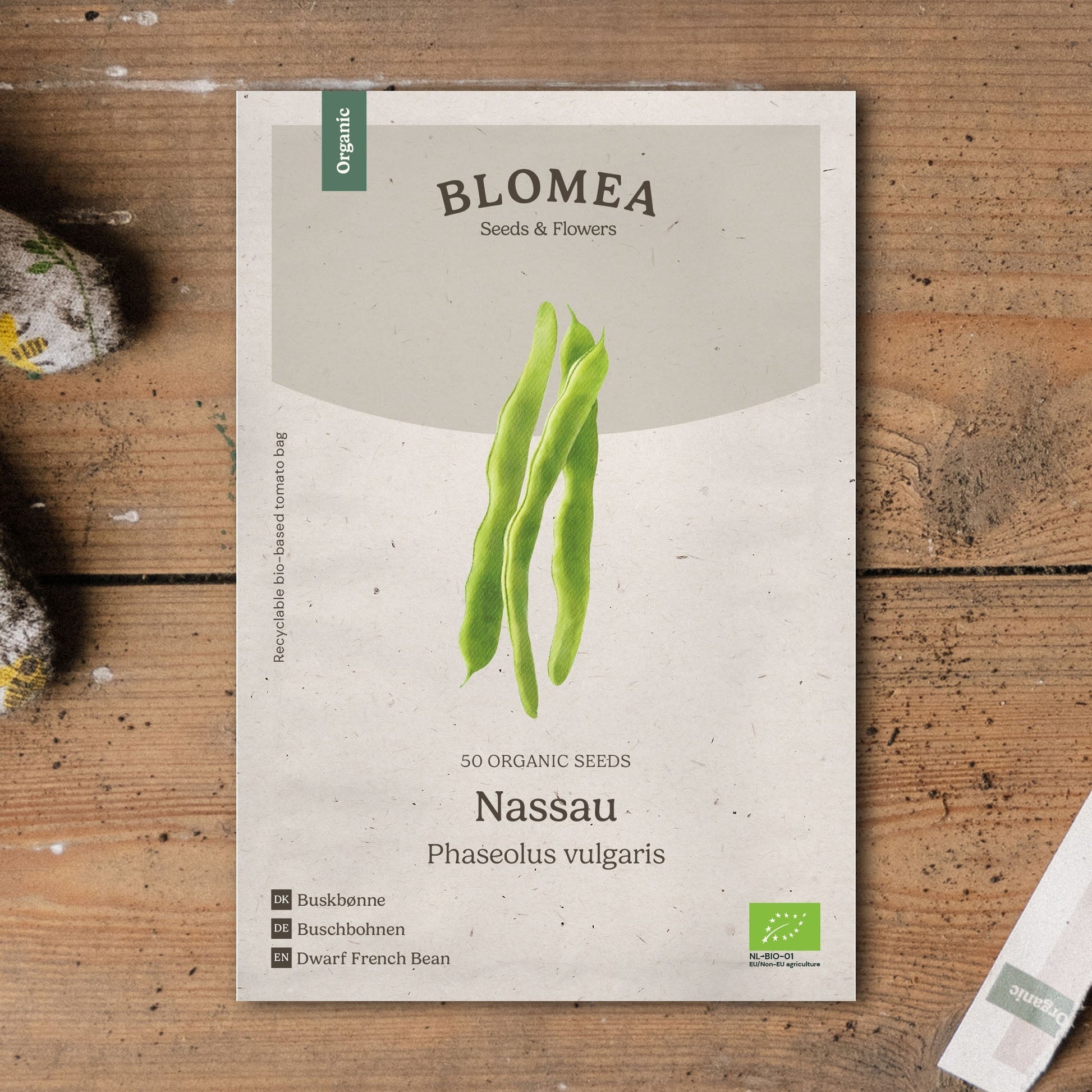 Buschbohnen Samen 'Nassau' - 50 Biosamen