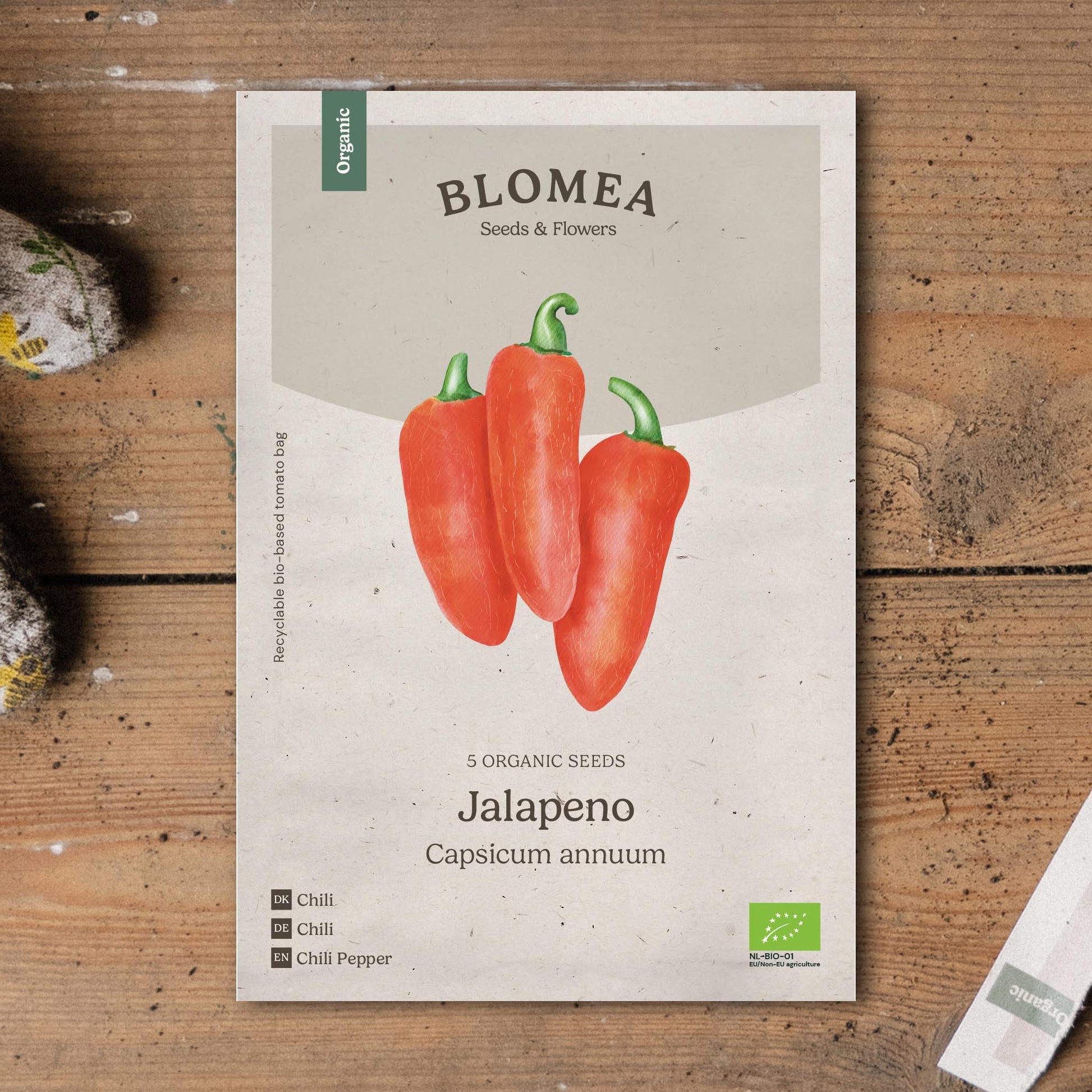 Chili Samen 'Jalapeno' - 5 Biosamen