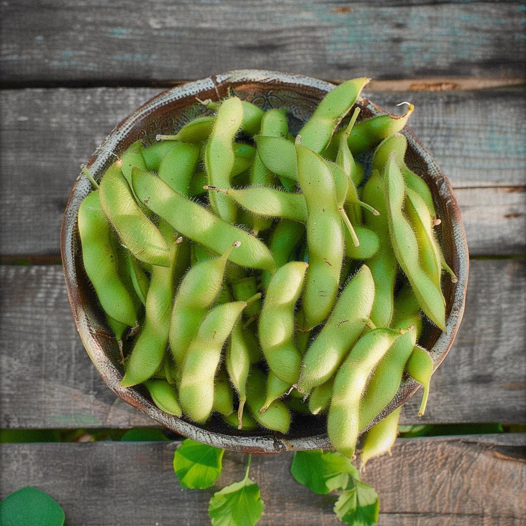Edamame Samen 'Chiba Green' - 5 Biosamen