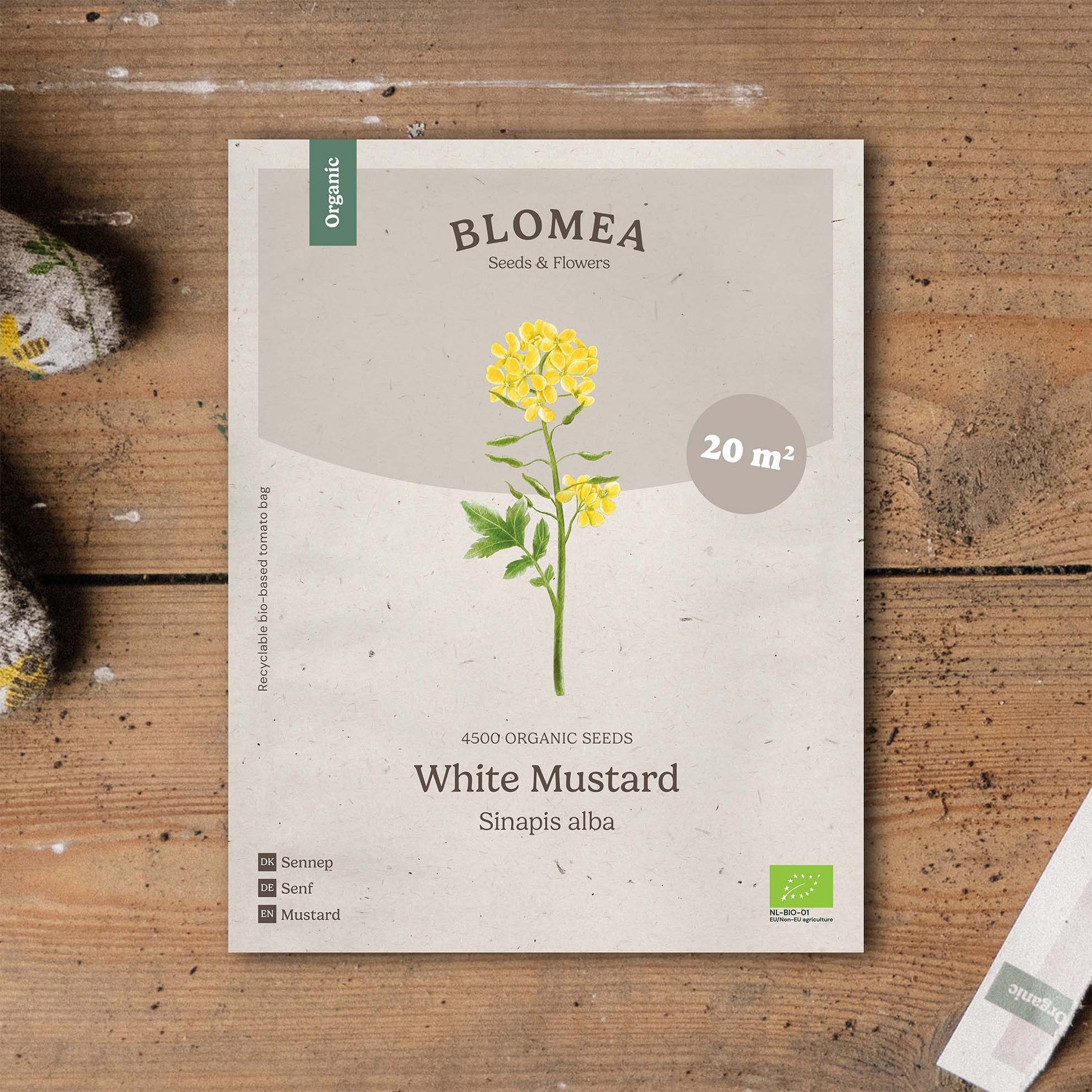Gründünger 'White Mustard' (20 m²)