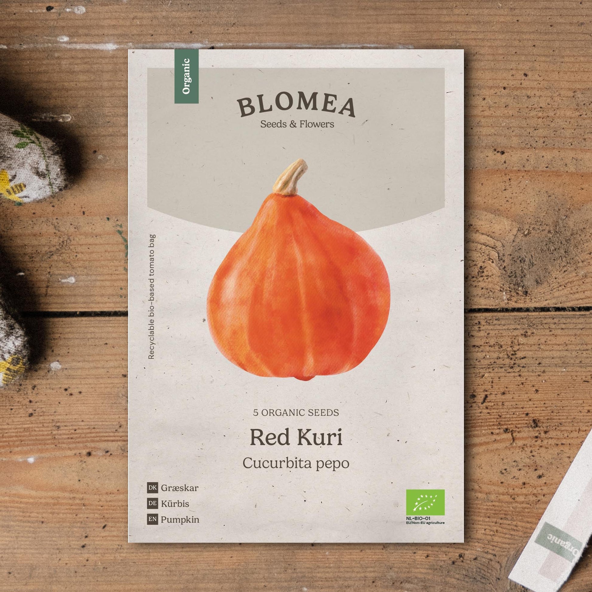 Hokkaido Samen 'Red Kuri' - 5 Biosamen