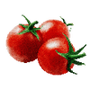 Kirschtomaten
