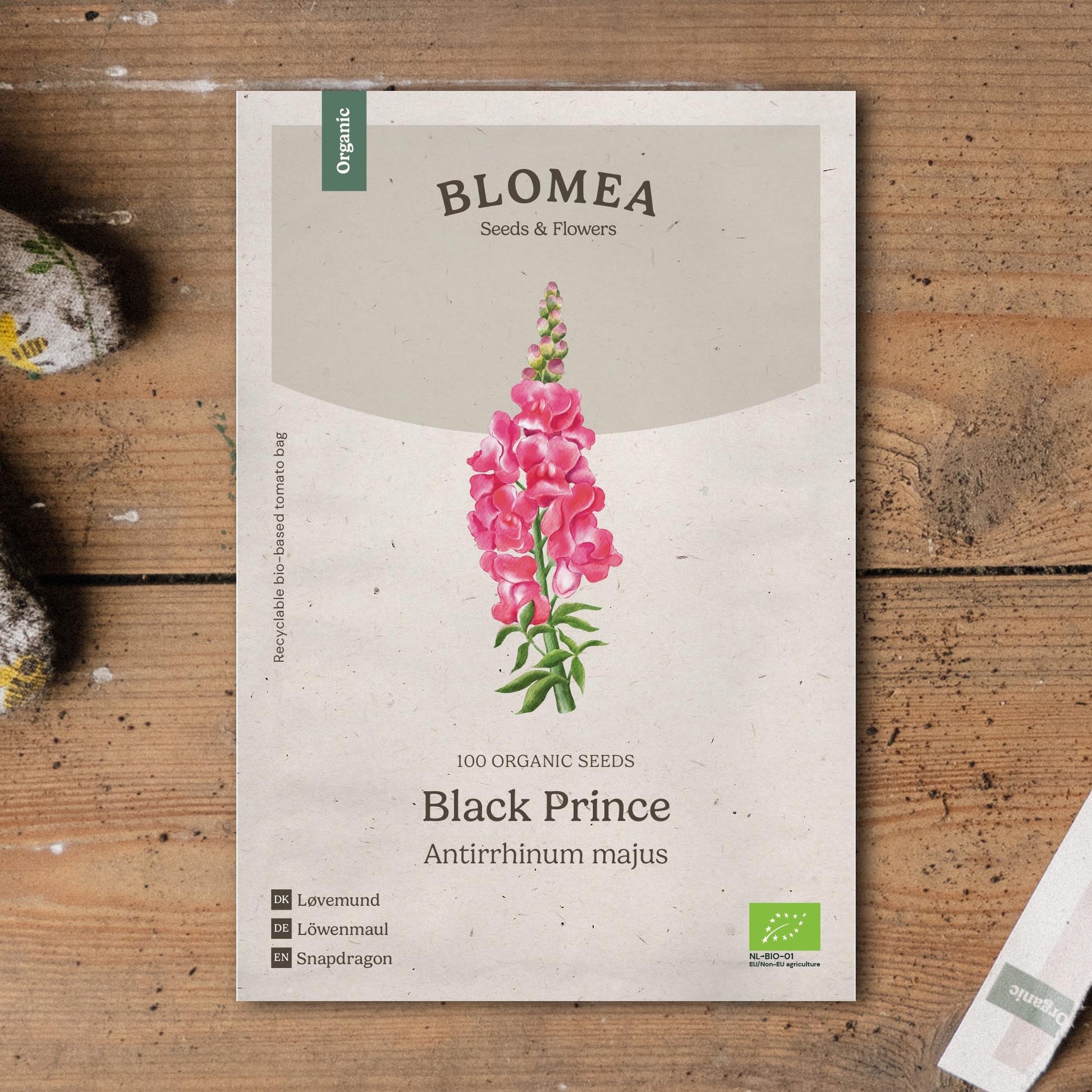 Löwenmäulchen Samen 'Black Prince' - 100 Biosamen