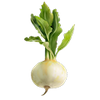 Mairübe