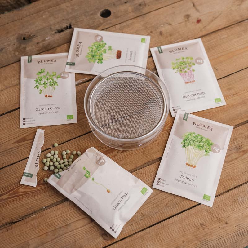 Microgreenbox mit Keimschale