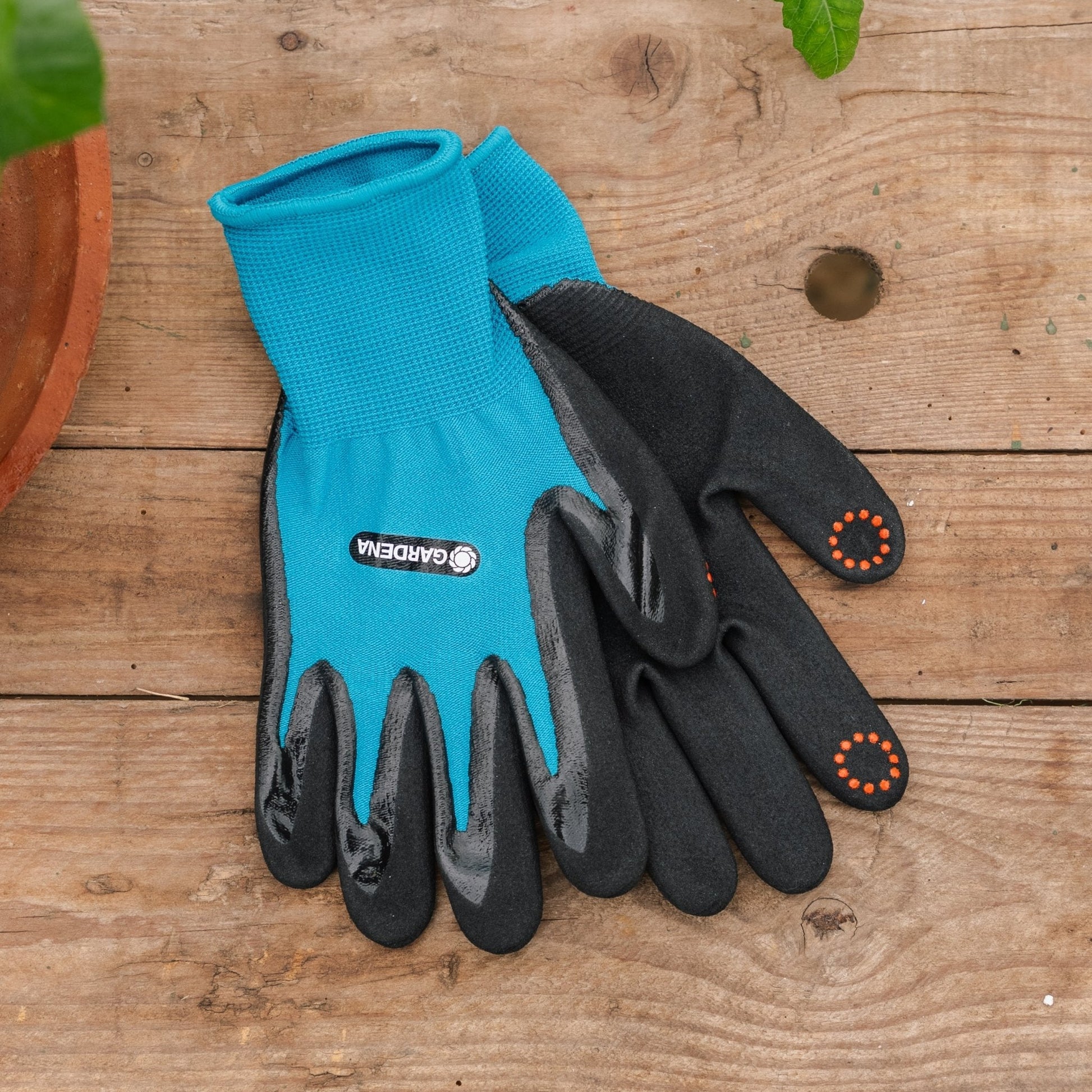 Pflanzenhandschuh, S