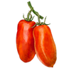 Pflaumentomaten