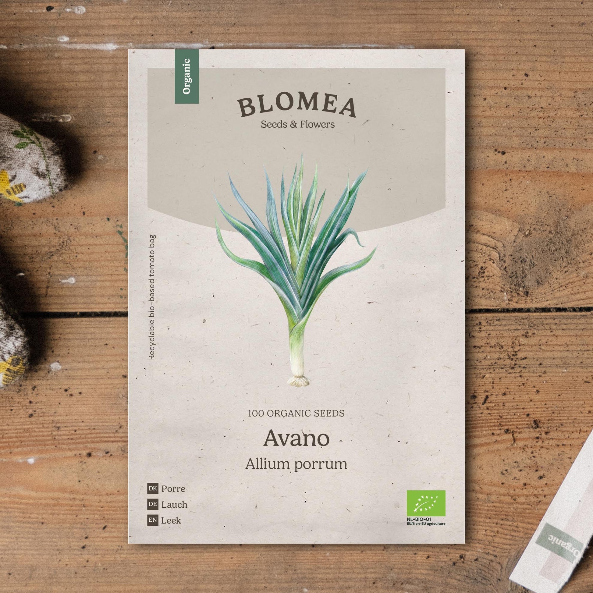 Porree Samen 'Avano' - 100 Biosamen