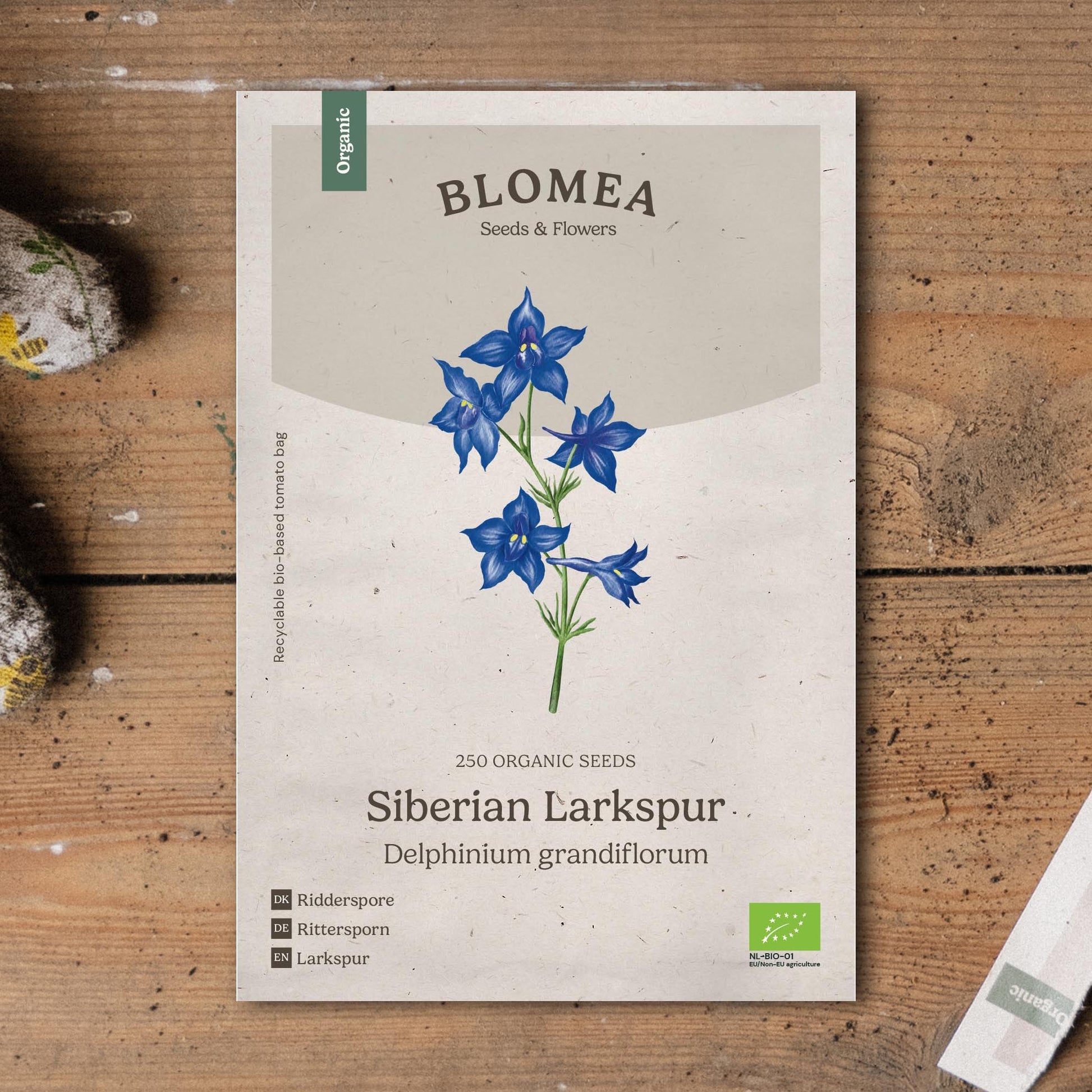 Rittersporn Samen 'Siberian Larkspur' - 250 Biosamen