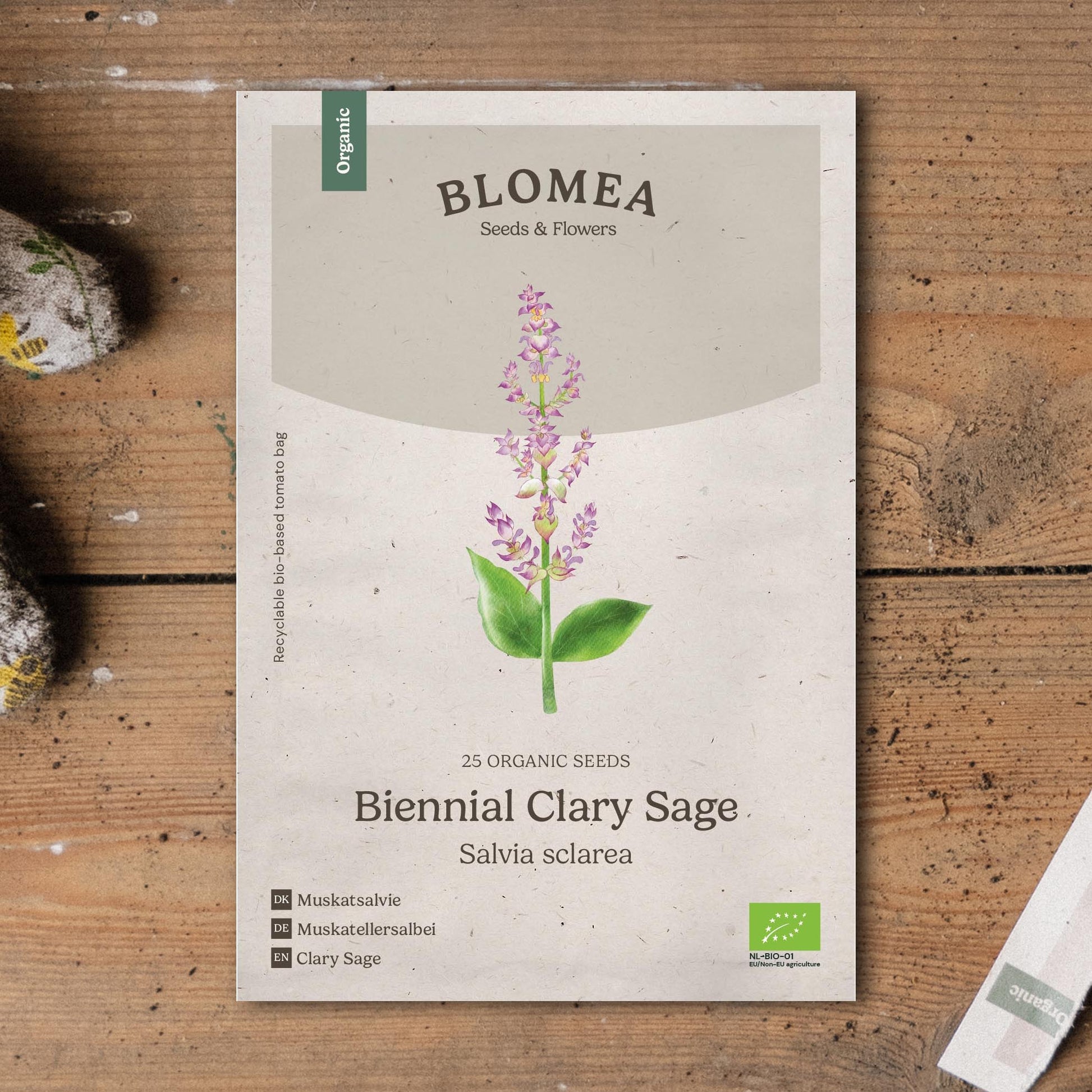 Salbei Samen 'Biennial Clary Sage' - 25 Biosamen