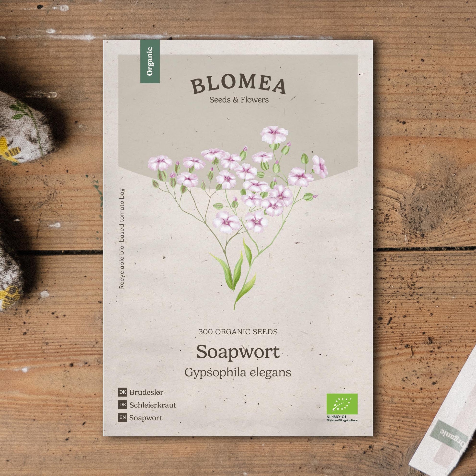 Seifenkraut Samen 'Soapwort' - 300 Biosamen