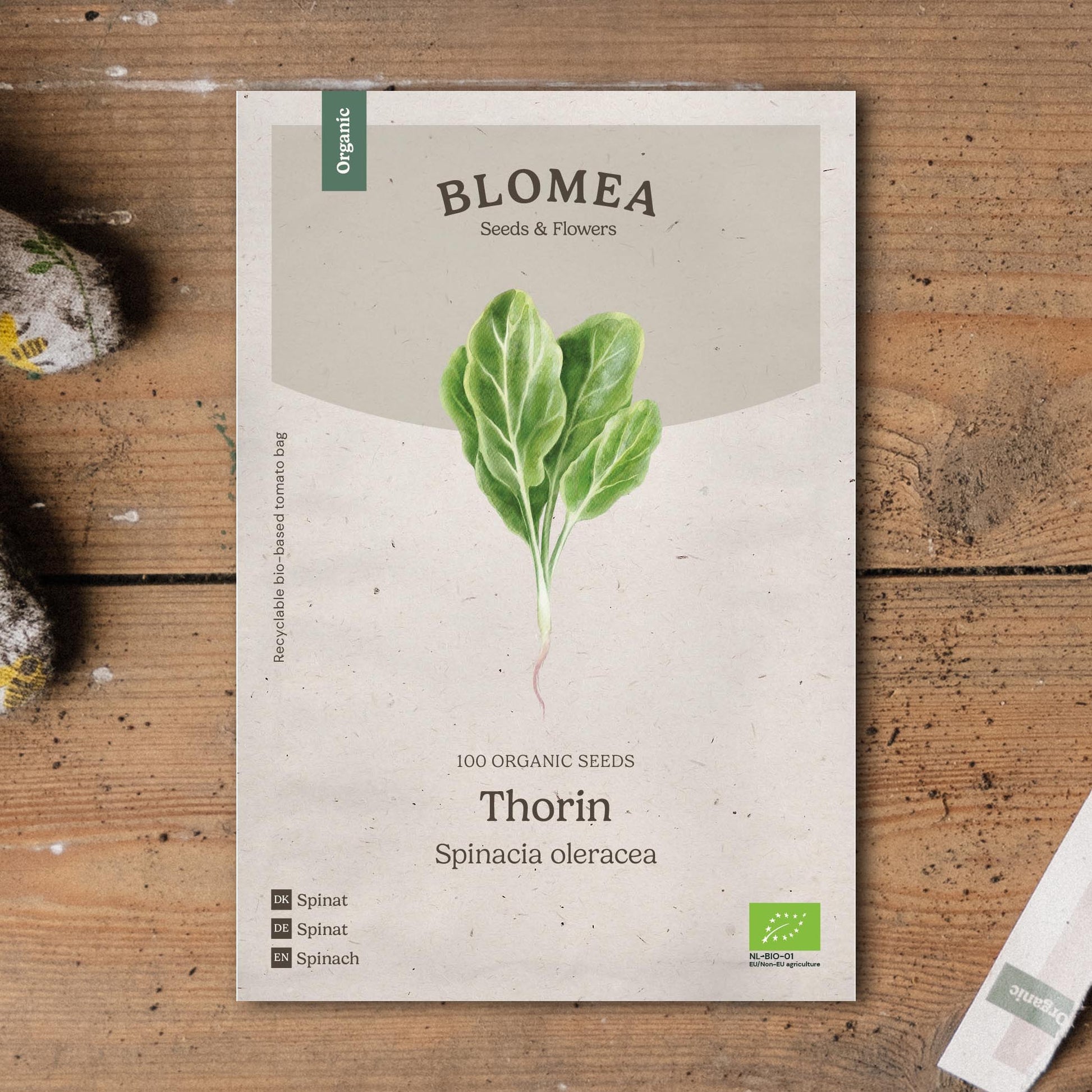 Spinat Samen 'Thorin' - 100 Biosamen