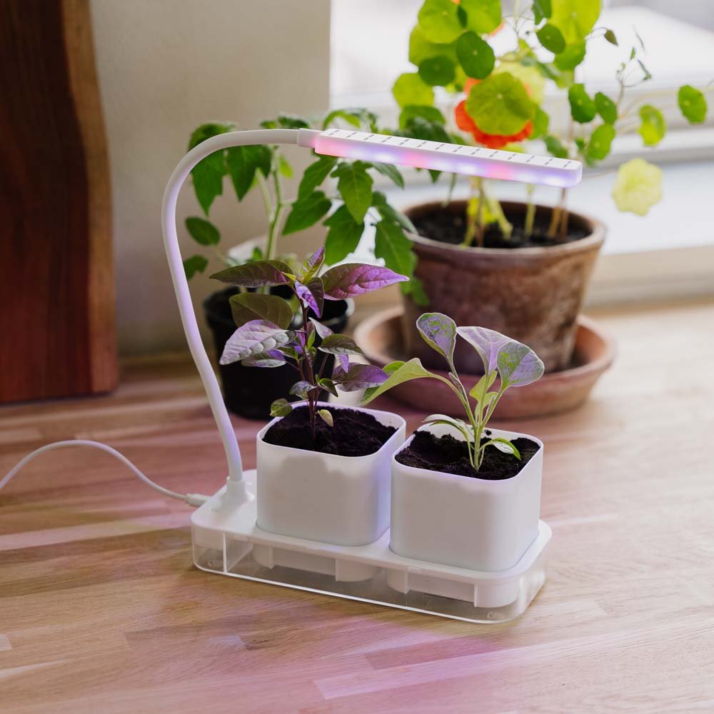 Wachstumslampe mit 2 Töpfen – komplettes Starterkit für Keimlinge