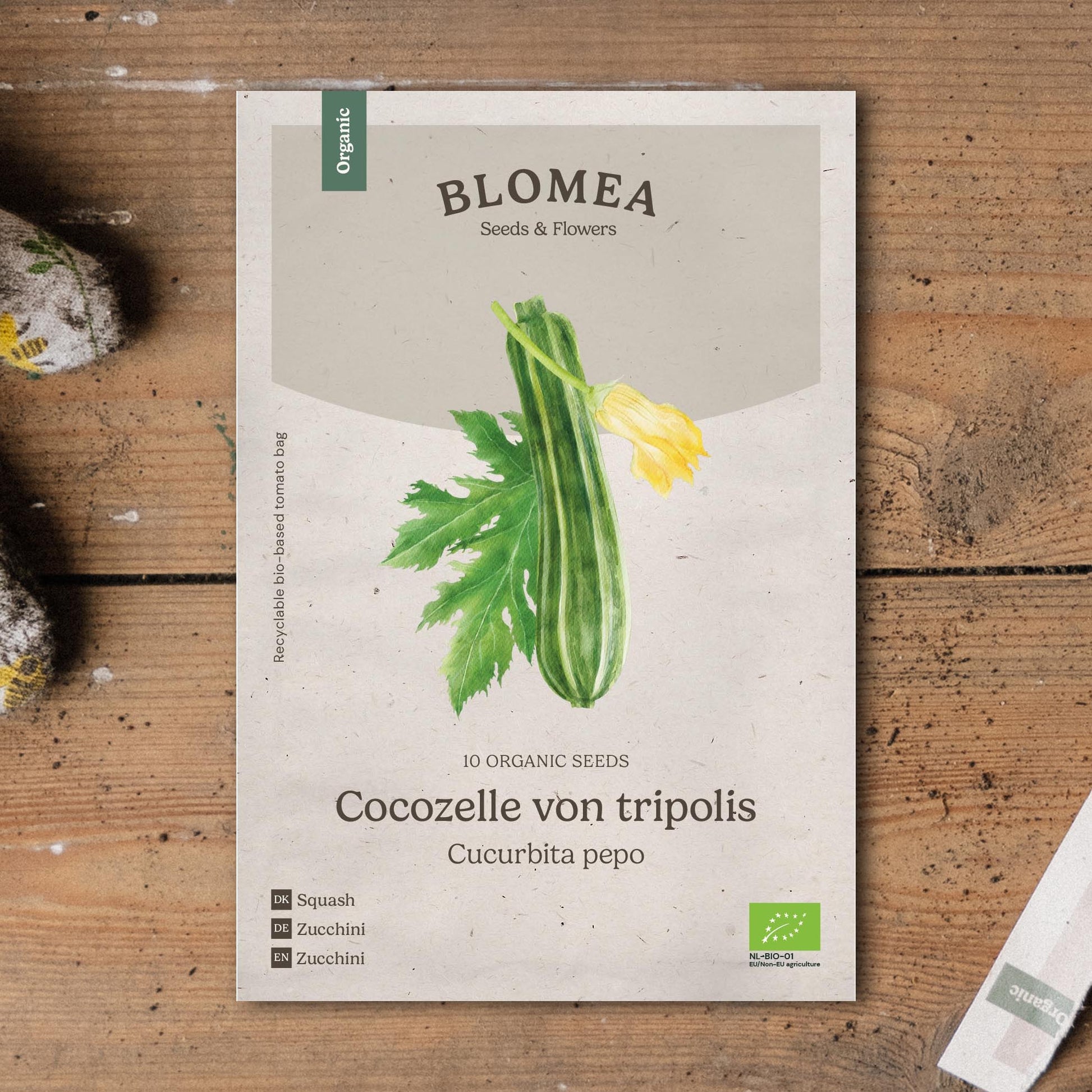 Zucchini Samen 'Cocozelle von Tripolis' - 10 Biosamen