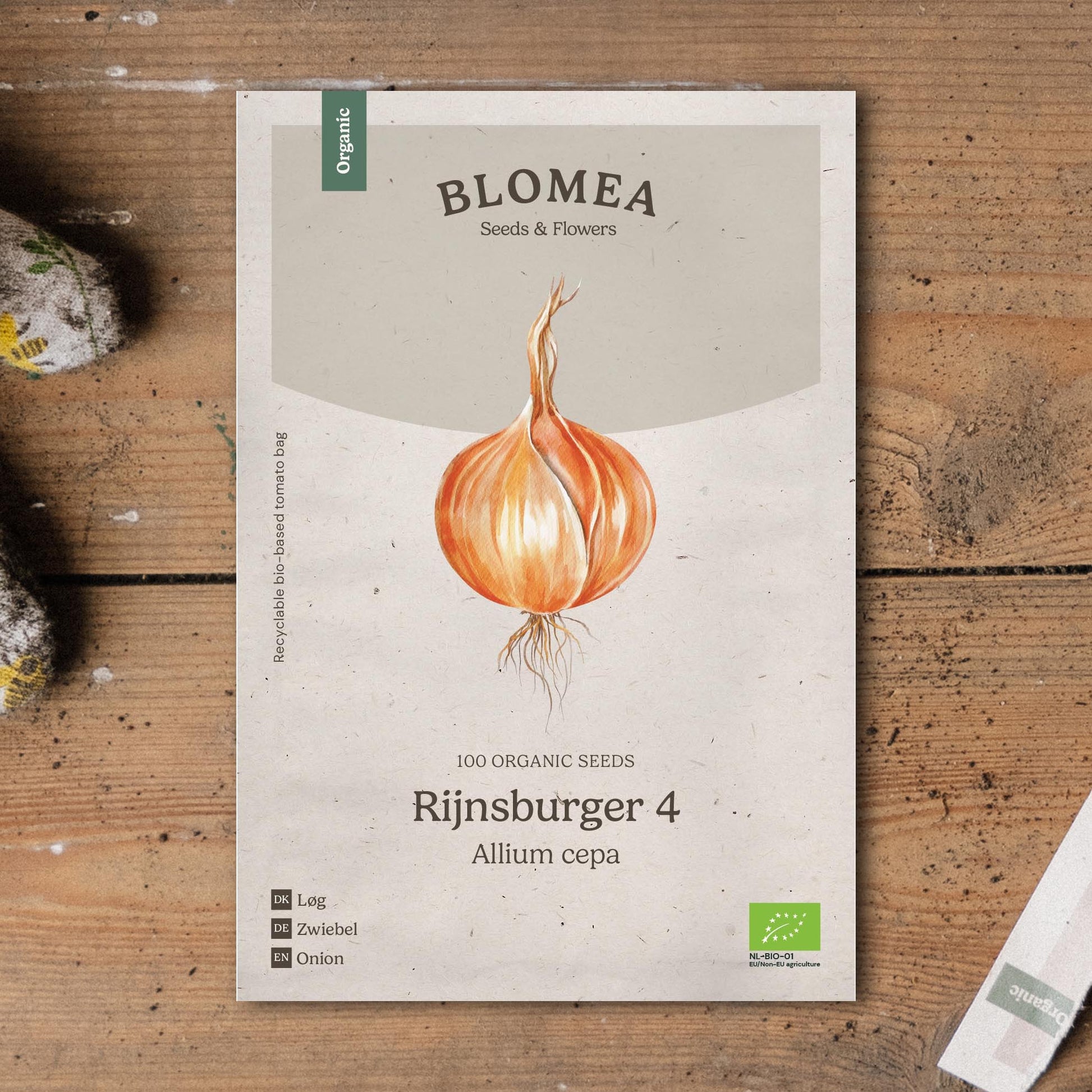 Zwiebelsamen 'Rijnsburger 4' - 100 Biosamen