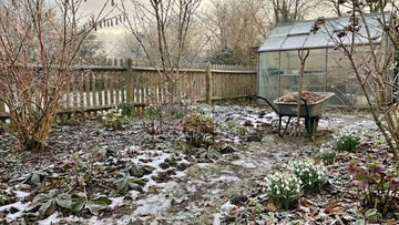 Garten im februar - Blomea.de
