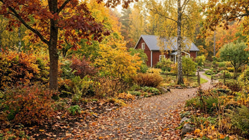 Garten im herbst - Blomea.de