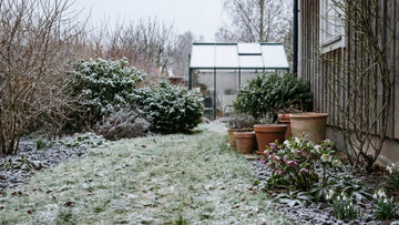 Garten im januar - Blomea.de