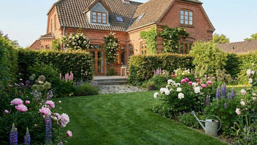 Garten im juni - Blomea.de