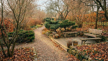 Garten im november - Blomea.de