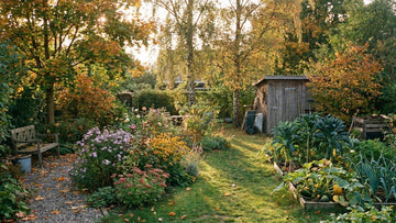 Garten im september - Blomea.de
