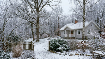 Garten im winter - Blomea.de
