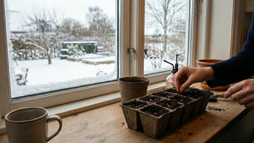 Was im februar vorziehen - Blomea.de