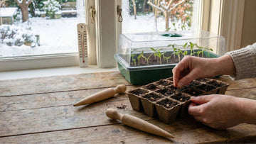 Was im januar vorziehen - Blomea.de