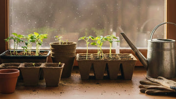 Was im märz vorziehen - Blomea.de