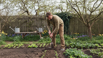 Was kann man im april pflanzen - Blomea.de