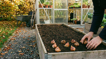 Was kann man im oktober pflanzen - Blomea.de