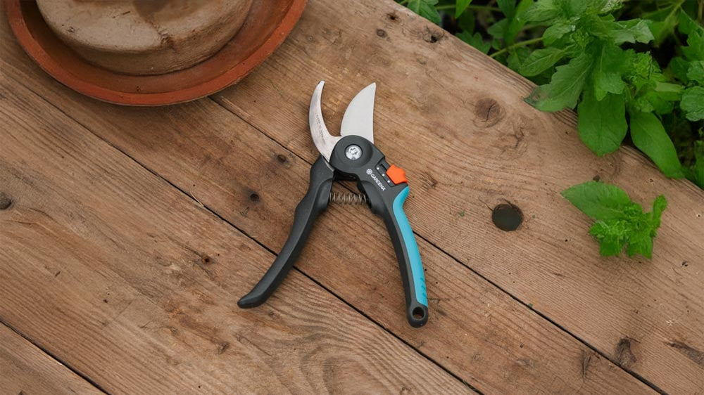 Astscheren - Blomea.de