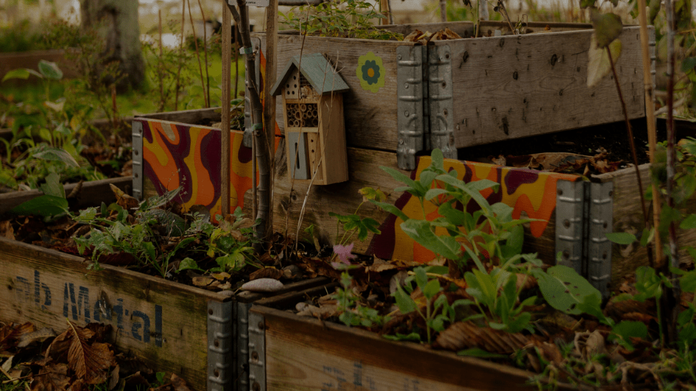 Black Month - Blomea.de