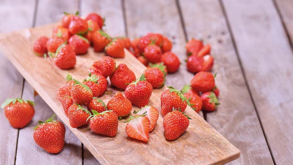 Der essbare Garten - Blomea.de