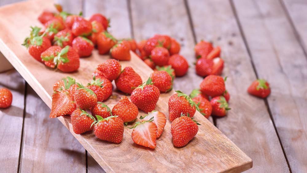 Erdbeeren - Blomea.de