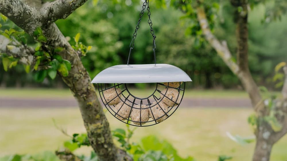 Futterautomaten - Blomea.de