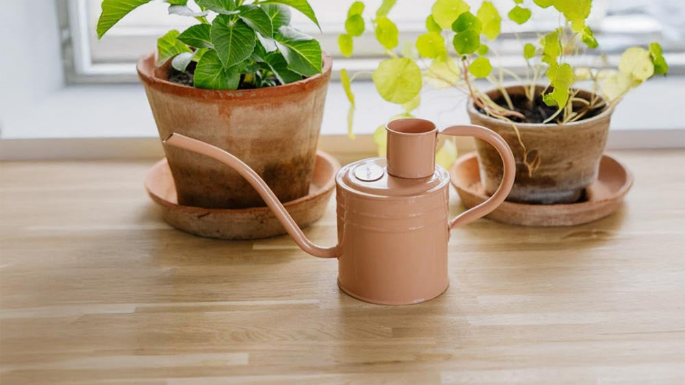 Gießkannen drinnen - Blomea.de