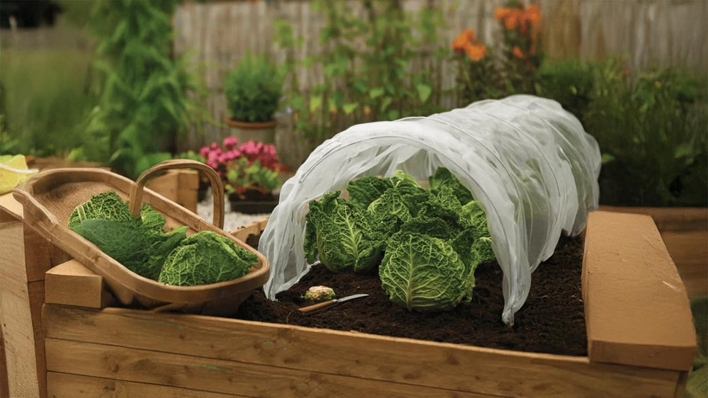 Insektennetze - Blomea.de