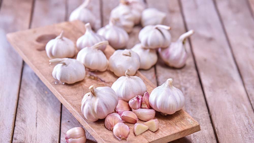 Knoblauch - Blomea.de