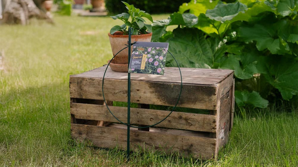 Pflanzenringe - Blomea.de