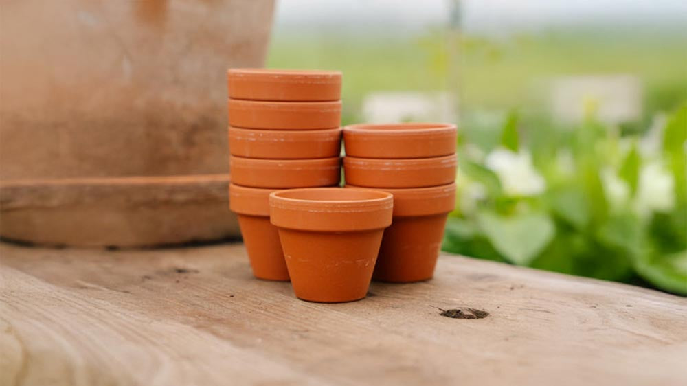 Pflanzentöpfe - Blomea.de