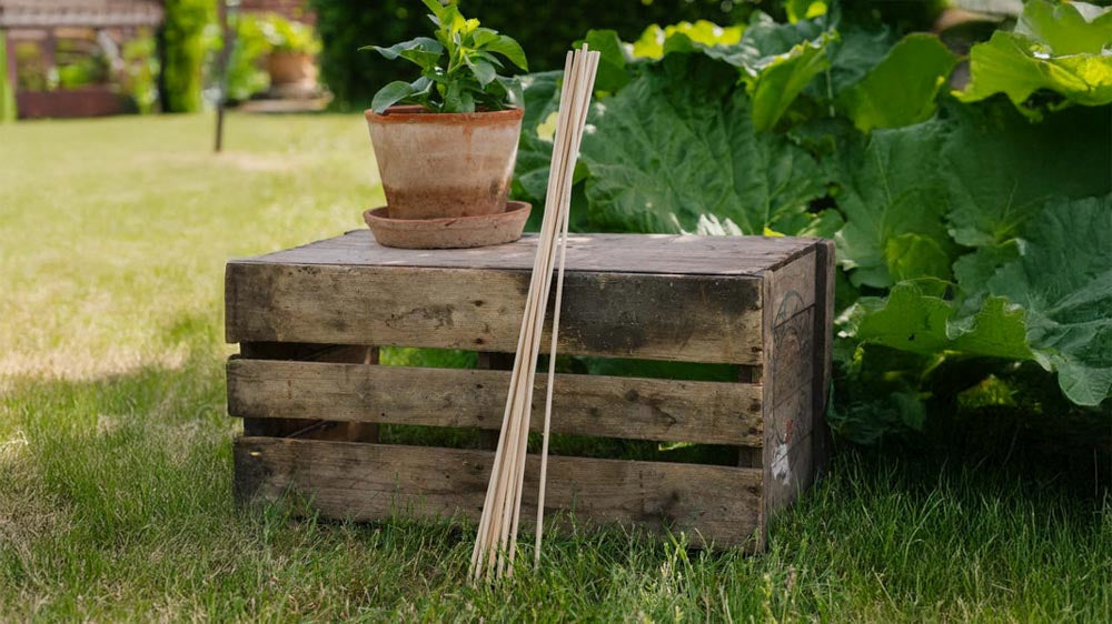 Pflanzstäbe - Blomea.de