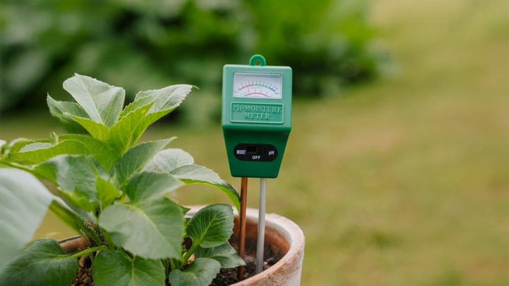 pH Messgeräte - Blomea.de