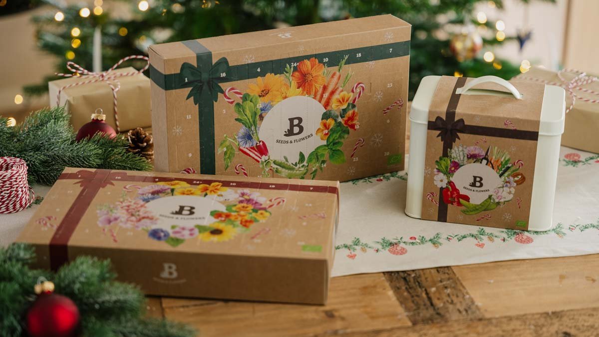 Saatgut Adventskalender - Blomea.de