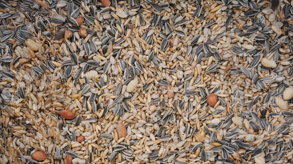 Vogelfutter - Blomea.de