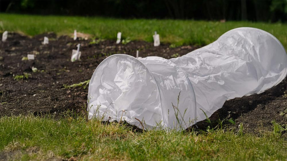 Wachstumstunnel - Blomea.de