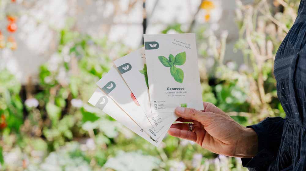 Weihnachtsgeschenke - Blomea.de