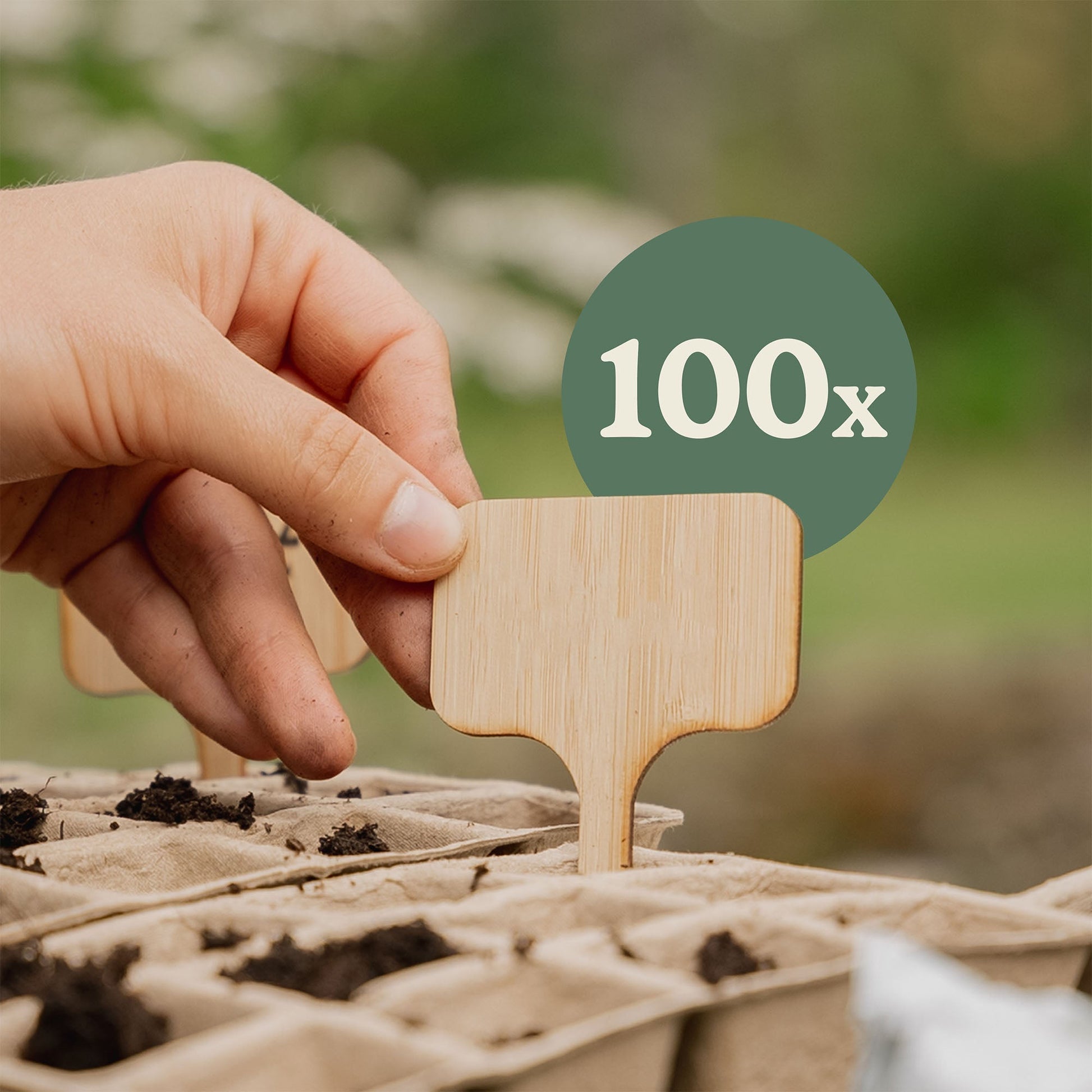 100 Stück Bambus Pflanzenschilder