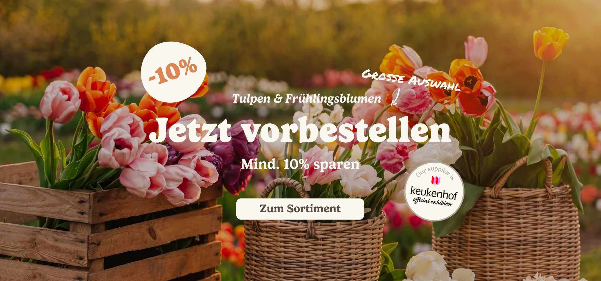 slider image slider_item_BYPCVp